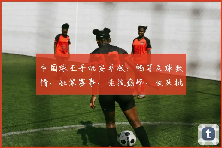 中国球王手机安卓版，畅享足球激情，独家赛事，竞技巅峰，快来挑战