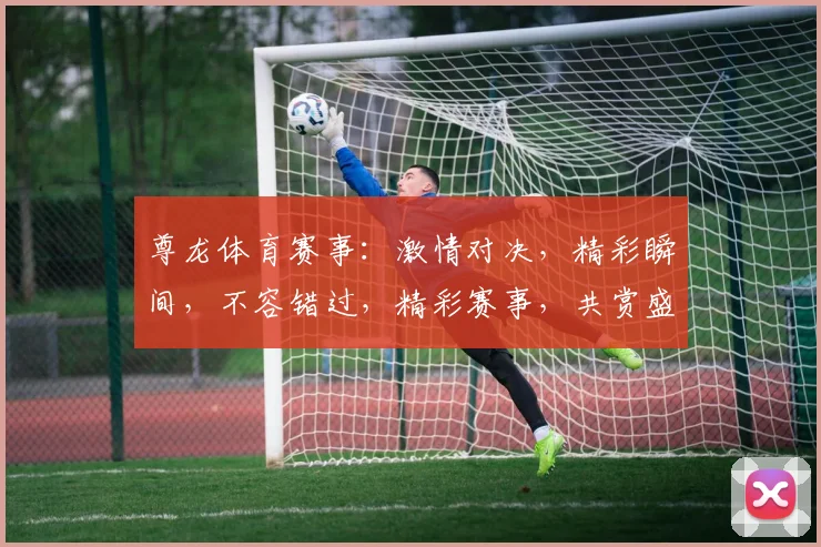 尊龙体育赛事：激情对决，精彩瞬间，不容错过，精彩赛事，共赏盛宴