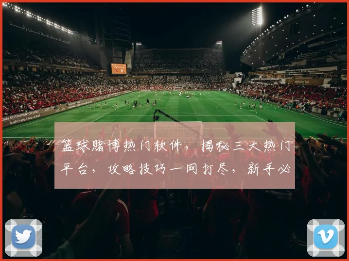 篮球赌博热门软件，揭秘三大热门平台，攻略技巧一网打尽，新手必看